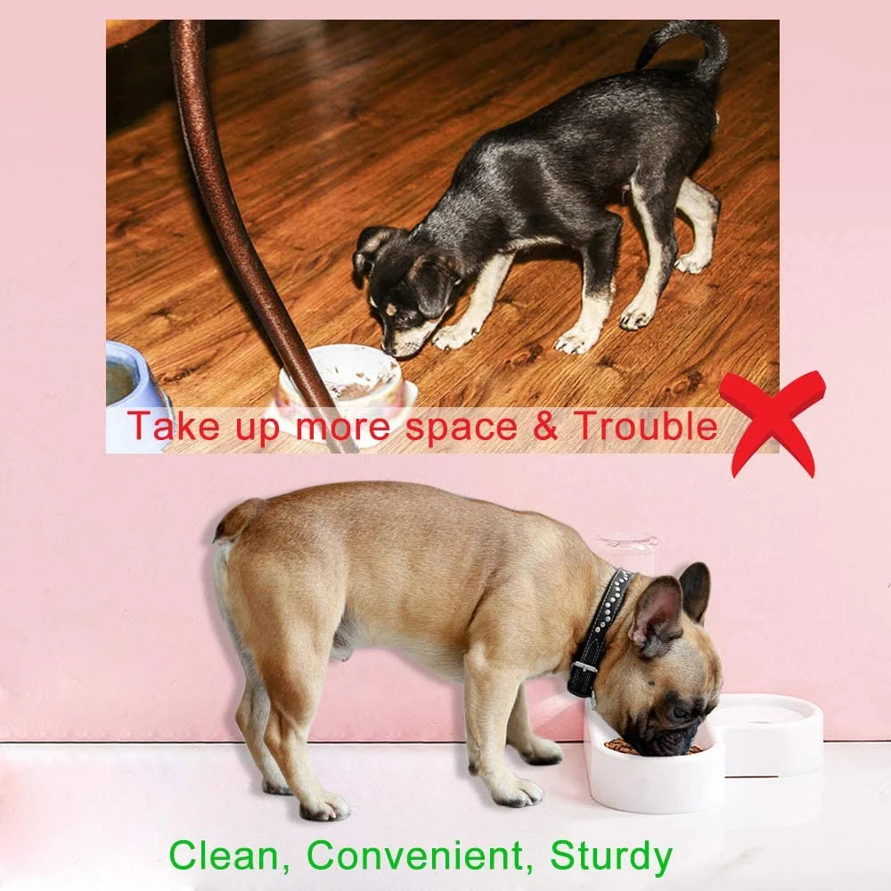 Automatic Pet Water Dispenser and Food Bowl for Dogs and Cats - Easy to Clean PP Material