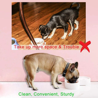 Automatic Pet Water Dispenser and Food Bowl for Dogs and Cats - Easy to Clean PP Material